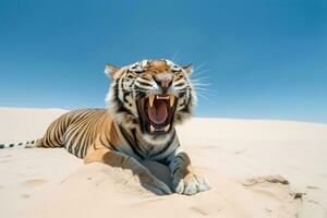 tiger vilar på de strand natur se ai genererad foto