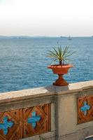 utsikt över Adriatiska havet, i Trieste, norra Italien, foto