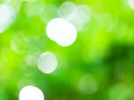 abstrakt suddig grön Färg för bakgrund, fläck löv på de hälsa trädgård utomhus- och vit bubbla fokus. foto