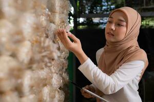 ung asiatisk muslim kvinna forskare forskning arbete på svamp fabrik, samlar mogna svamp i svamp hus för laboratorium experiment. foto