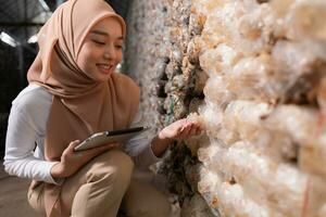 ung asiatisk muslim kvinna forskare forskning arbete på svamp fabrik, samlar mogna svamp i svamp hus för laboratorium experiment. foto