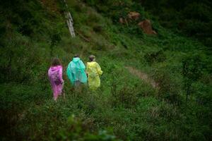 grupp av vänner i regnrockar gående på de skog väg, vandring begrepp. foto