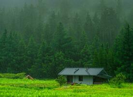 hus i de mitten av de skog i de regnig säsong foto