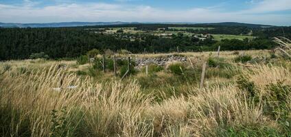 cevennes nationalpark foto