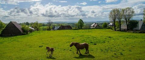 naturlig parkera av auvergne vulkaner foto