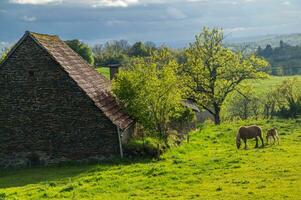 naturlig parkera av auvergne vulkaner foto