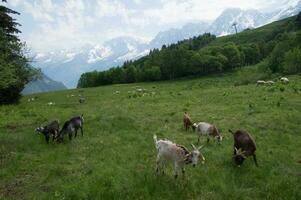 landskap av de franska alps foto