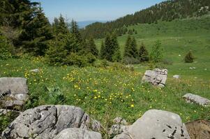 landskap av de franska alps foto