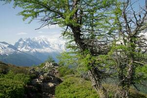 landskap av de franska alps foto