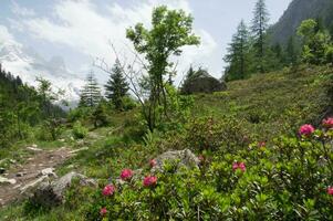 landskap av de franska alps foto