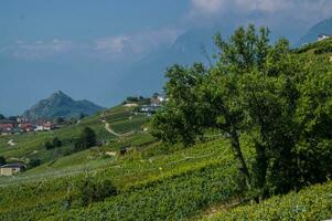 landskap av de alps i schweiz i sommar foto