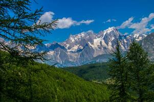 landskap av de alps i Italien i sommar foto