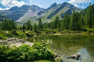 landskap av de alps i Italien i sommar foto