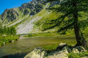 landskap av de alps i Italien i sommar foto