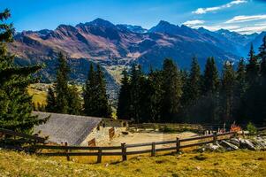 paysage des alpes suisse sv automne foto