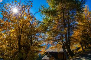 paysage des alpes suisse sv automne foto