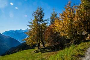 paysage des alpes suisse sv automne foto