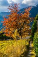 höst i de alperna, Italien foto