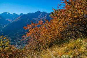 paysage des alpes suisse sv automne foto