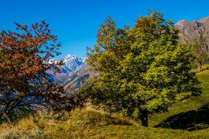 paysage des alpes suisse sv automne foto