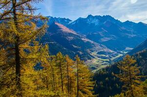 paysage des alpes suisse sv automne foto