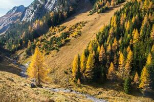 paysage des alpes suisse sv automne foto