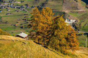 paysage des alpes suisse sv automne foto