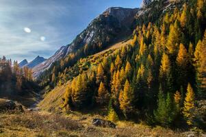 paysage des alpes suisse sv automne foto