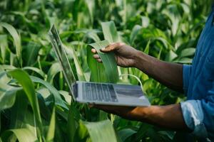 agriculturist utnyttja de kärna data nätverk i de internet från de mobil till bekräfta, testa, och Välj de ny beskära metod. ung jordbrukare och tobak jordbruk foto