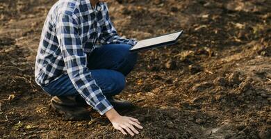 manlig händer rörande jord på de fält. expert- hand av jordbrukare kontroll jord hälsa innan tillväxt en utsäde av vegetabiliska eller växt fröplanta. företag eller ekologi begrepp. foto