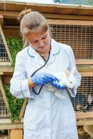 glad ung veterinär kvinna med stetoskop som håller och undersöker kanin på ranchbakgrund. kanin i veterinärens händer för kontroll i naturlig ekogård. djurvård och ekologiskt jordbruk koncept. foto