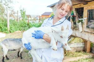 veterinär kvinna med stetoskop innehav och granskning get unge på ranch bakgrund. ung getling med veterinär händer för kolla upp upp i naturlig eco odla. djur- vård och ekologisk jordbruk begrepp. foto