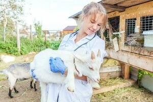 veterinär kvinna med stetoskop innehav och granskning get unge på ranch bakgrund. ung getling med veterinär händer för kolla upp upp i naturlig eco odla. djur- vård och ekologisk jordbruk begrepp. foto