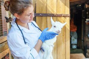 ung veterinär kvinna med stetoskop innehav och granskning get unge på ranch bakgrund. ung getling i veterinär händer för kolla upp upp i naturlig eco odla. modern djur- boskap, ekologisk jordbruk. foto