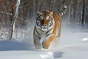 en tiger löpning genom de snö i de skogen. generativ ai foto