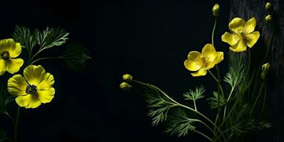 skön smörblomma blomma makro tom Plats, ai generativ foto