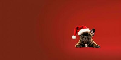 söt hund med en jultomten hatt på en röd bakgrund med Plats för copy ,generativ ai. foto