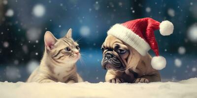 söt hund och katt med en jultomten hatt på en röd bakgrund med Plats för copy ,generativ ai. foto