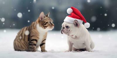 söt katt och hund med en jultomten hatt i de snö bakgrund med Plats för copyspace, generativ ai. foto