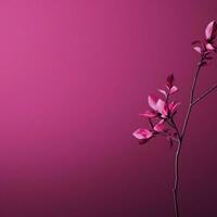 fushia minimalistisk tapet foto