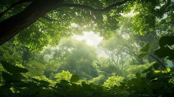 en se från under en frodig skog tak, terar solstrålar filtrering genom löv och ett öppen område för text placering. ai genererad. foto