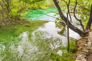 plitvice sjöar nationalpark vattenfall turkosblått vatten kroatien. foto
