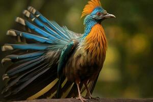 nationell fågel av Indien foto