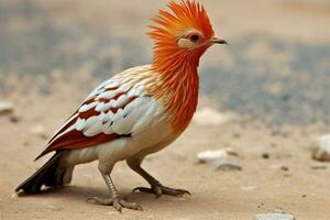 nationell fågel av tadzjikistan foto