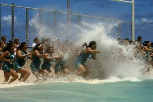 nationell sport av hawaii foto
