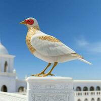 nationell fågel av tunisien hög kvalitet 4k ultra h foto