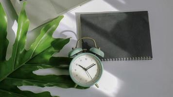 gröna blad på vit bakgrund och solsken foto