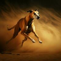 en graciös vinthund tävlar på full hastighet foto