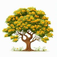 indisk kork träd blomma 2d tecknad serie illustraton på vit ba foto
