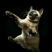 lekfull tonkinesiska katt jagar dess egen svans i spänning foto